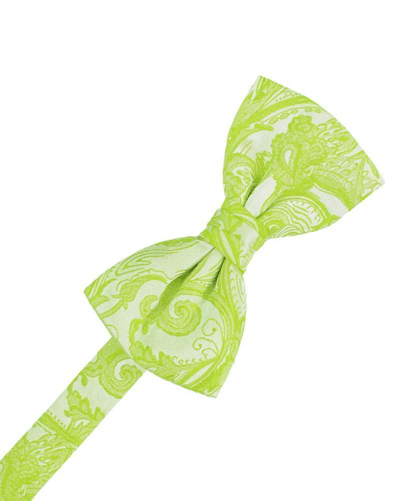 Corbatín Tapestry Lime Caballero